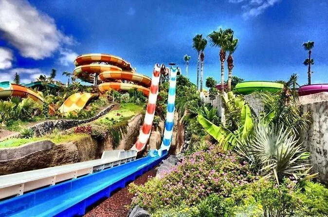 Le 491 شقة أذيخي